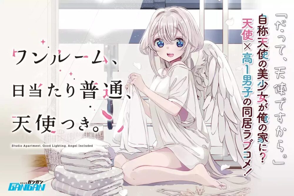 ワンルーム、日当たり普通、天使つき。